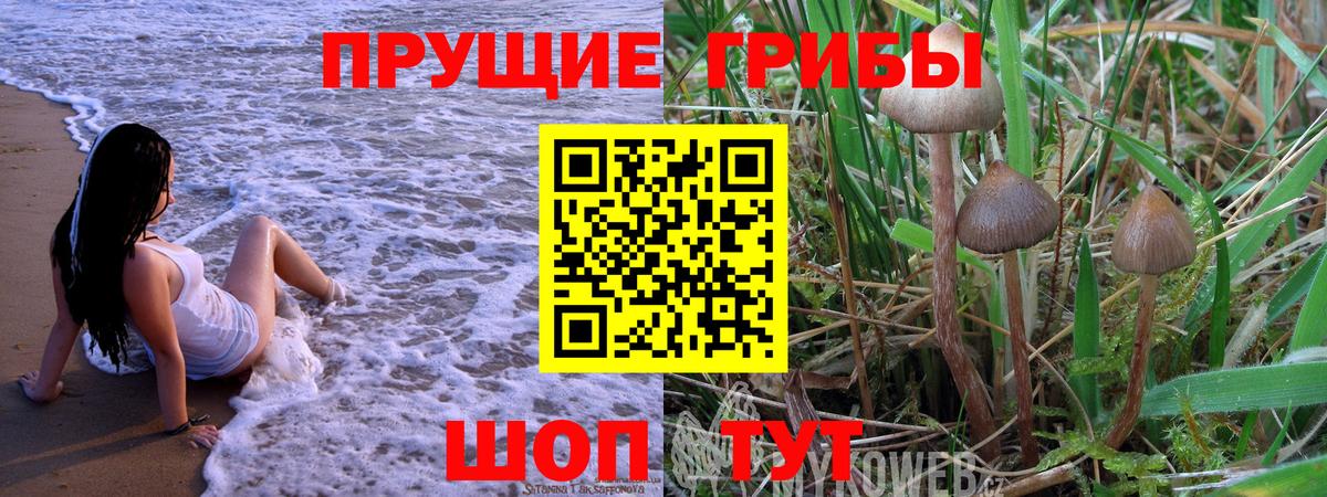 Псилоцибиновые грибы мицелий Урюпинск