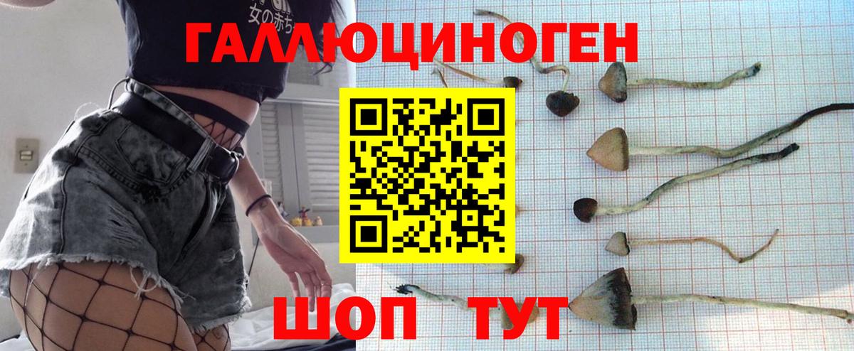 Урюпинск  Псилоцибиновые грибы Psilocybine cubensis  Псилоцибиновые грибы Cubensis  Вход с VPN 